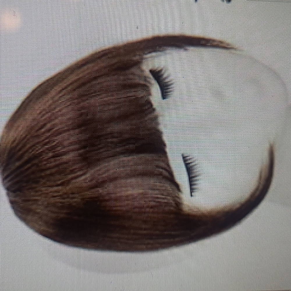 HMD Hair Clip in Bangs Medium Ash Brown - Picture 4 of 6